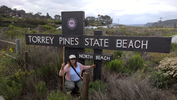 Torrey_Pines_State_Beach