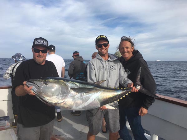 Blue Fin Tuna