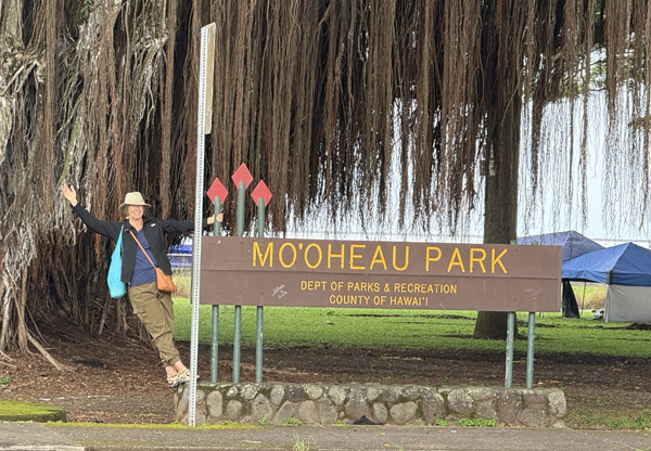 Mo'Oheau Park