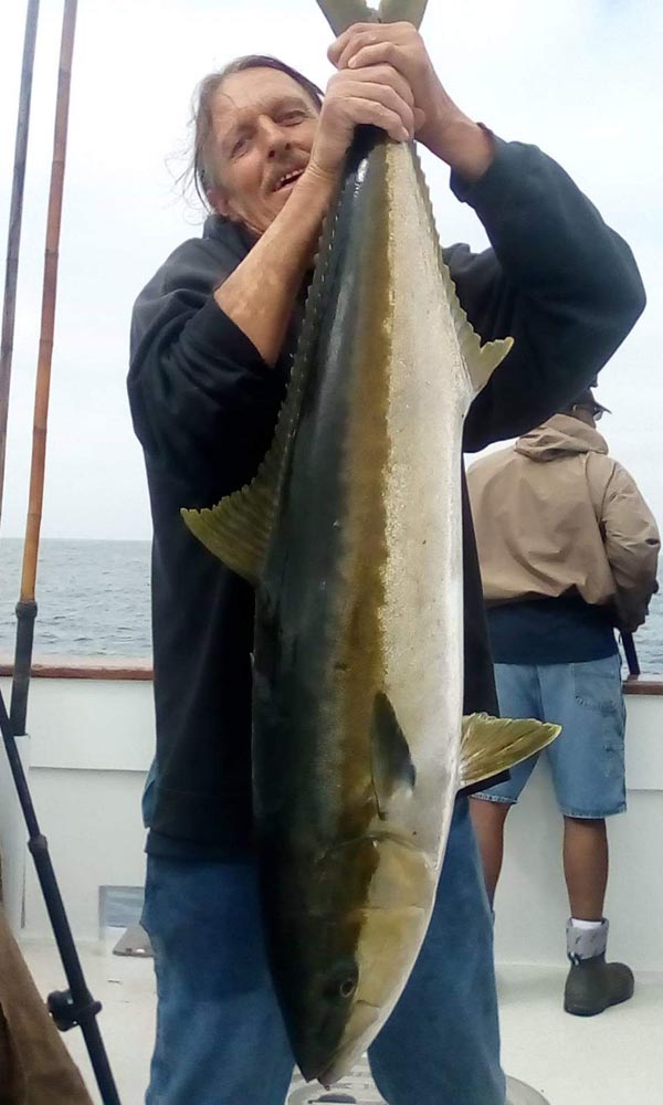 Yellowtail